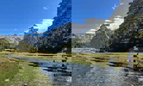 image-6204